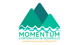 Momentum